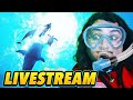 Let's Play Endless Ocean Luminous - Livestream