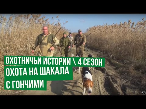 охотничьи экспедиции на канале охотник и рыболов охотничьи экспедиции на канале охотник и рыболов