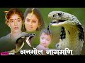 अनमोल नागमणि | Anmol Nagmani | Full Hindi Movie | Y Vijaya, Neelkal Ravi, Sitara, Manorama