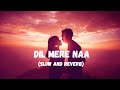 Dil Mere Naa (Slow and Reverb) Lofi | Fida | Romantic Song | NestMusicZ