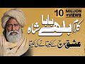 Baba Bulleh Shah Poetry 2024 | Best Punjabi Kalam 2024 | ਬਾਬਾ ਬੁੱਲੇ ਸ਼ਾਹ | Bulleh Shah Shayari 2024