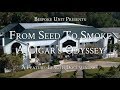 From Seed To Smoke: A Cigar's Odyssey | Davidoff Cigar Factory & Farms (How Cigars Are Made)