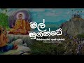 Mal Sugande Lyrics Video | Sujatha Attanayake | මල් සුගන්දේ | Poson Song | මිහින්තලාවයි දහම් අමාවයි