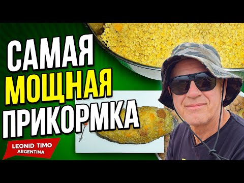 как варить прикормку из гороха на рыбалку как варить прикормку из гороха на рыбалку