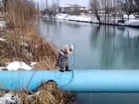 рыбалка 2 часа в городе рыбалка 2 часа в городе