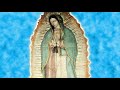 Melodia Celestial para orar,  descubierta en el manto de la Virgen  de Guadalupe