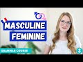 French Gender of Nouns - Masculine and Feminine / French Grammar Course Lesson 3