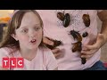 Obsessed with Collecting Cockroaches | My Kid's Obsession (Extended)