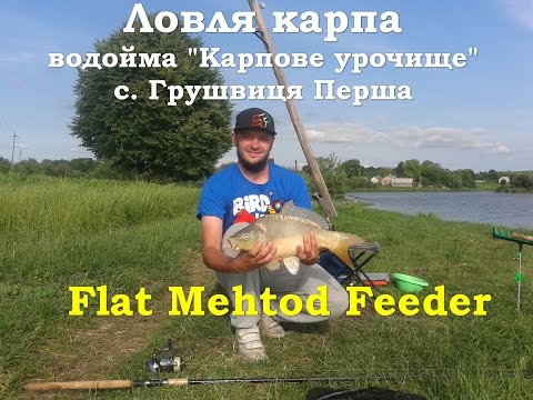 ловля карпа на грушу ловля карпа на грушу
