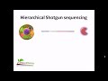 Hierarchial shotgun sequencing