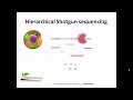 Hierarchial shotgun sequencing
