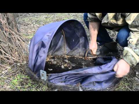 видео как ловят фазанов видео как ловят фазанов