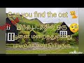 🧐 Can you find the cat 🐈 . பூனைய முடிஞ்சா கண்டுபிடிங்க . #findthecat #puzzle #mkquiz178