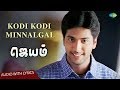 Kodi Kodi Minnalgal Song | Jayam | Jayam Ravi | M.Raja | R.P.Patnaik |Vijay Yesudas |Palani Bharathi