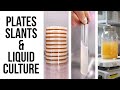 How to Make Plates, Slants, and Liquid Culture for Mushroom Cultivation | Agar Recipe | Lab Skills