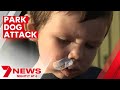 Four-year-old boy set upon in vicious dog attack at Paralowie | 7NEWS