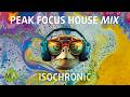 Peak Focus For Complex Tasks House Turtle Mix with Isochronic Tones