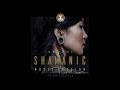 BaliDacha Shamanic DJset 1 | Electronic | Ethno | Chillrave | Downtempo | Deep House | DJmix