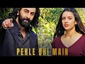 ANIMAL - Pehle Bhi Main | Loop Song |
