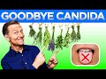 Say Goodbye to Candida: The Best Ways to Cure It Permanently