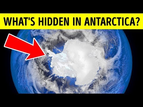 10 Strange Things Found Frozen In Ice Antarctica