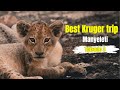Best Kruger National Park trip yet | Exploring Manyeleti Game Reserve | Episode 4