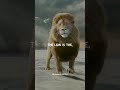 lion 🦁attitude💯😎 whatsApp status🔥🔥#shorts #motivation #youtube