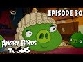 Angry Birds Toons | Piggywig - S1 Ep30