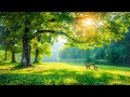 Calming music for nerves 🌿 healing music for heart and blood vessels, relaxation, music for soul