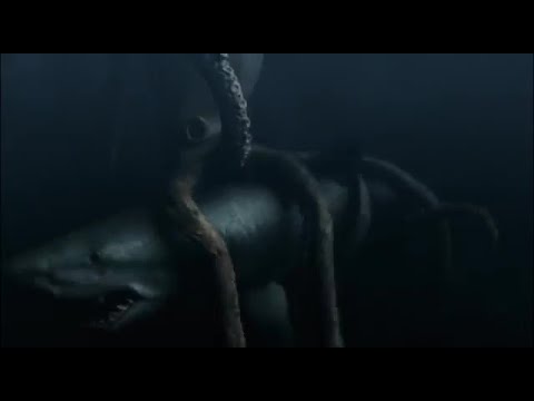 Mega Shark Vs Giant Octopus 2009 DVDRip Dual Audio By Imkhan ungarn perlenschmuck pointer sm