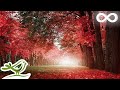 Beautiful Relaxing Music - Romantic Music with Piano, Cello, Guitar & Violin | "Autumn Colors"