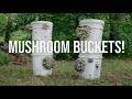 Growing Mushrooms in Buckets! Step-by-Step Guide to the Bucket Technique (Bucket Tek / Tech)