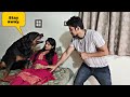 Dog protecting my pregnant wife | dog guard pregnant women | funny dog videos |