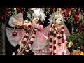 Jai shree krishna 💖|Radha Radha Krishna Bhajan ❤️