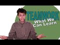 4 Things We Learn From TeamWork