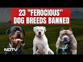 23 Dog Breeds Banned In India | Centre Asks States To Ban 23 Breeds Of "Ferocious" Dogs