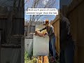 Wild Beehive in a Washing Machine (Short Version)