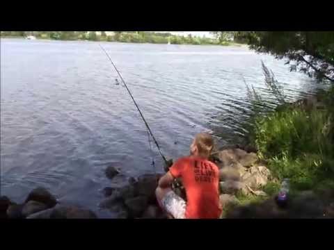 ловля на реке дубна весной ловля на реке дубна весной