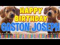 Happy Birthday Gaston Joseph! ( Funny Talking Dogs ) What Is Free On My Birthday