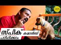 Train Your Dog to Speak | Speak command | ഡോഗ് ട്രെയിനിംഗ് | Dog tricks malayalam