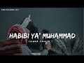 Habibi Ya Muhammad✨ (slowed reverb) Beautiful Nasheed Naat  l Lofi Version l Mind Relaxing Naat