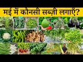 May 2024 me konsi sabji lagaye | May Me Lagane Wali Sabji | May ki kheti | Vegetable to grow in may