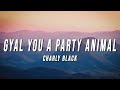 Charly Black - Gyal You A Party Animal (Lyrics)