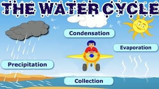 How does water evaporate?