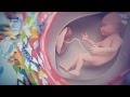 Le développement du fœtus – Grossesse : comment évolue bébé ? – Laboratoire Gallia