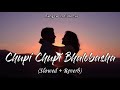 Chupi Chupi Bhalobasha (Slowed+Reverb) | Shaan | Shreya Ghoshal | Mon Mane Na | Bangla LofiVerse |