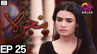 Pinjra - Episode 25 A Plus ᴴᴰ Drama Yumna Zaidi, Samina Ahmed, Hassan Niazi Pinjra - Episode 25 A Plus ᴴᴰ Drama Yumna Zaidi, Samina Ahmed, Hassan Niazi