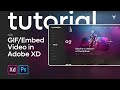 Animation Tutorial ala Gif / Video in Adobe XD