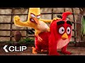Anger Management Class Scene - The Angry Birds Movie (2016)
