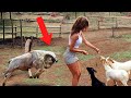 Incredible Things Caught On Camera 😱 #7